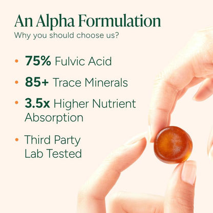 Alpha Shilajit Gummies