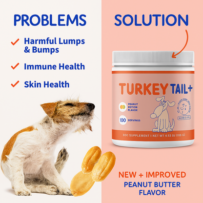 PureVa™ Turkey Tail + Probiotic Chews for Dogs