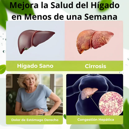 PureVa™ Desintoxicación del Hígado